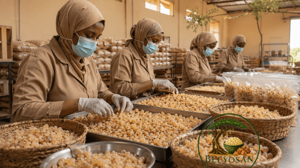 beeyosan packaging & product preparation