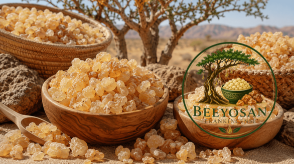 beyosan frankincense supply